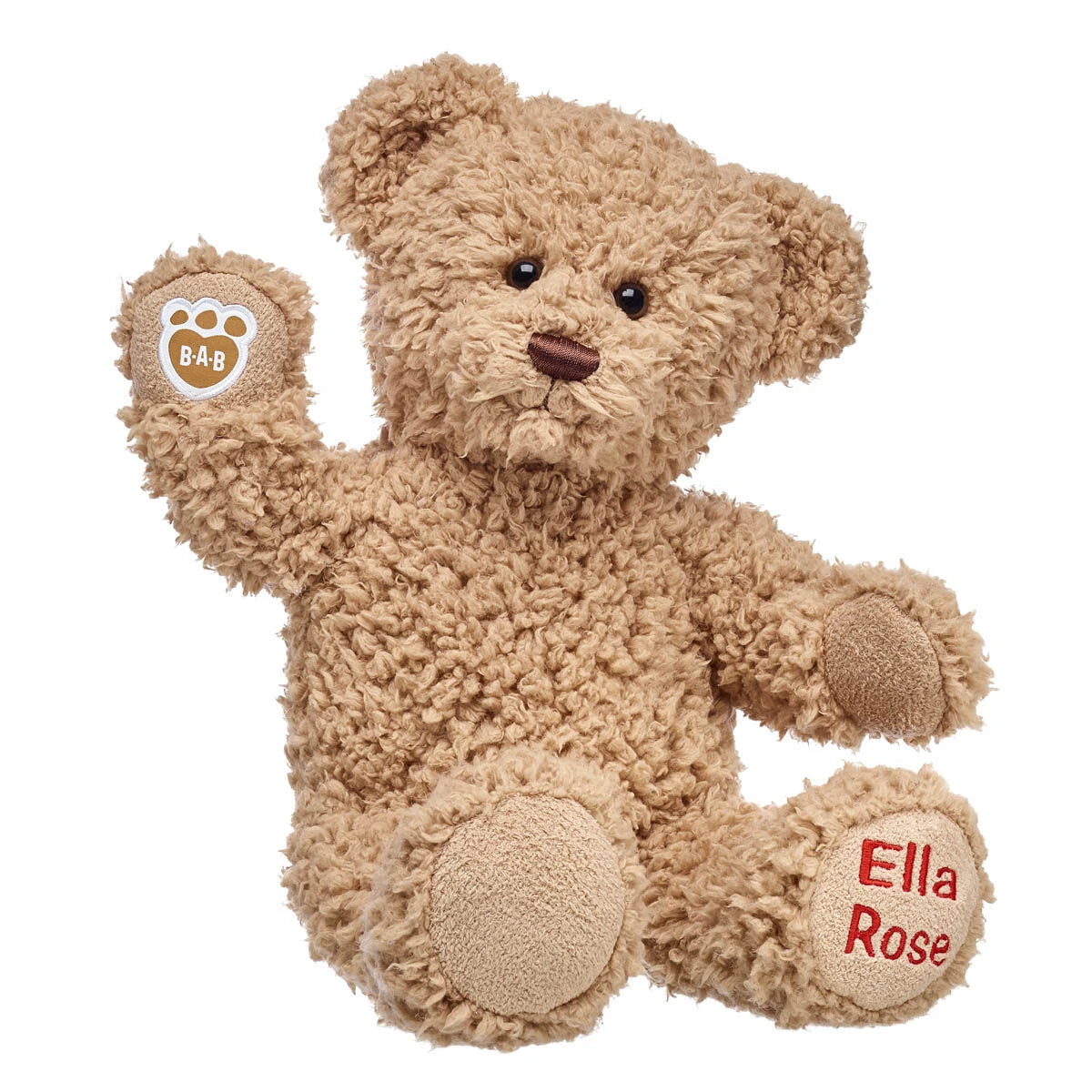 Embroidered Teddy Bear | Online Exclusive Gift | Shop at Build-A-Bear® - US 1157