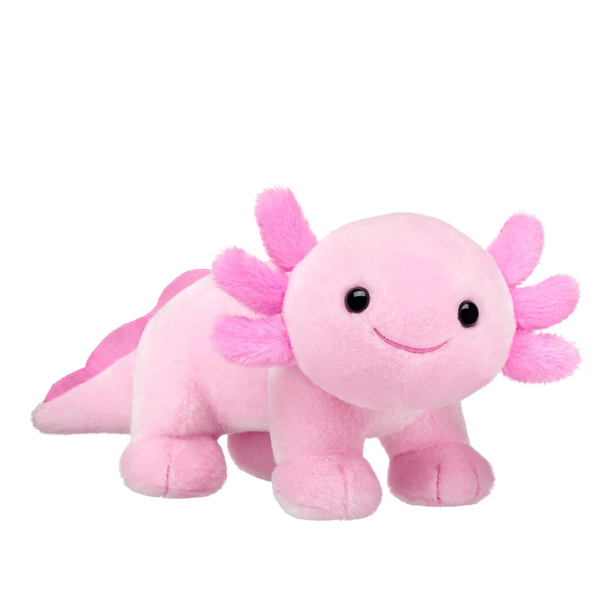 Pink Axolotl Stuffed Animal Graduation Gift Set - US 8082