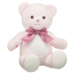 Baby Pink Teddy Bear with Gifting Bow | Build-A-Bear® - US 7569