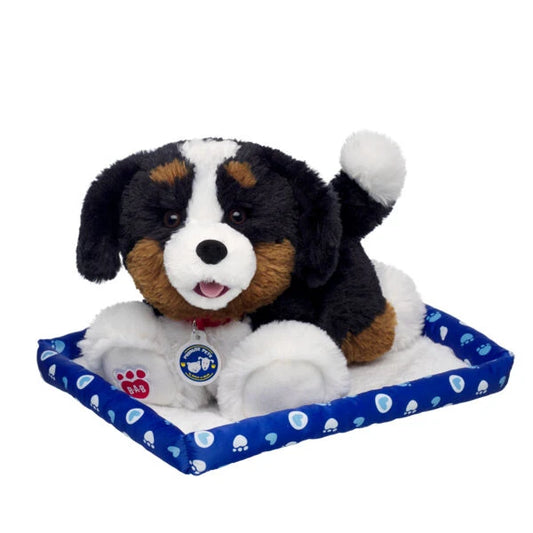 Promise Pets Bernese Mountain Dog Stuffed Animal w/ Blue Bed | Build-A-Bear - US 5846