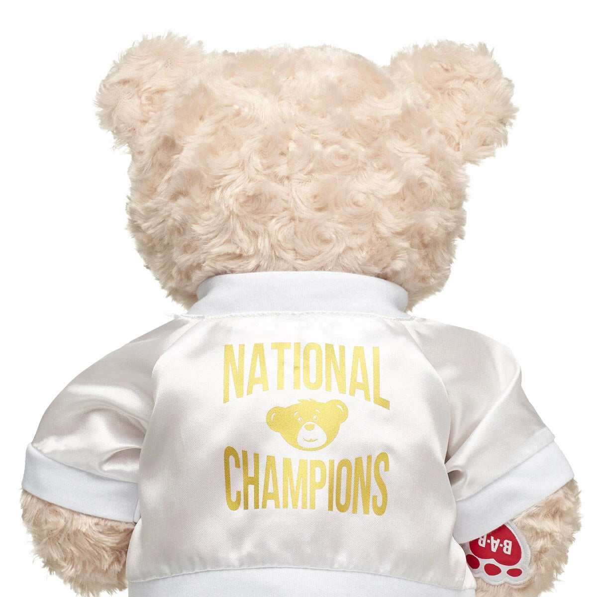 Varsity Spirit National Champions Jacket | Build-A-Bear® - US 4008