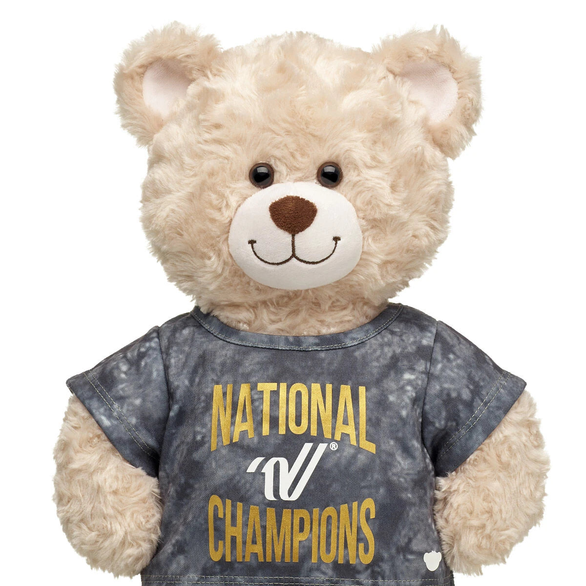 Varsity Spirit National Champions T-Shirt | Build-A-Bear® - US 2268