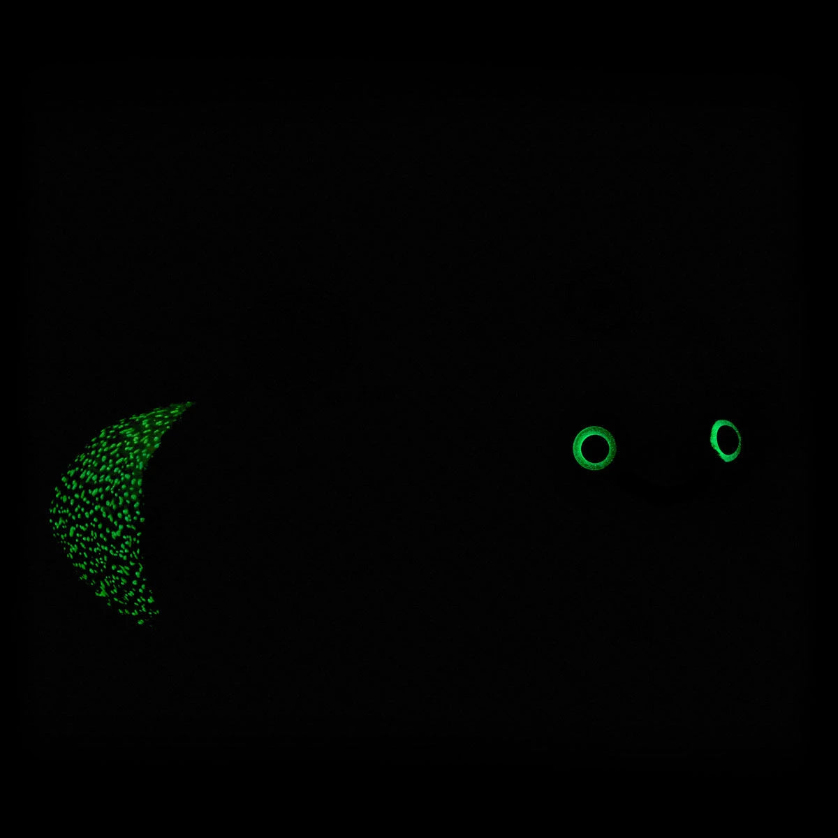 Glow-in-the-Dark Lightning Bug Stuffed Animal | BAB - US 9392