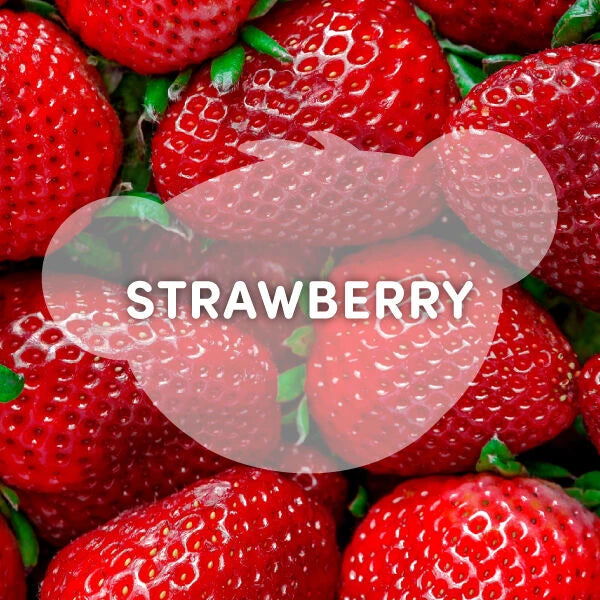 Strawberry Lemonade Bear Slushie Plushie Scented | BAB - US 1339