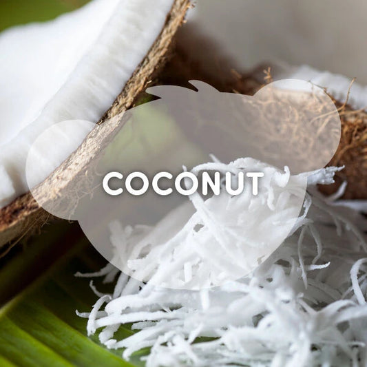 SCENTiments™ Coconut Scent for Stuffed Animals | Shop at Build-A-Bear® - US 1233